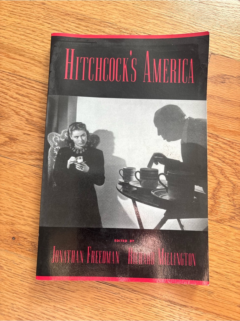 Hitchcock's America by Richard Millington (1999, Trade Paperback)